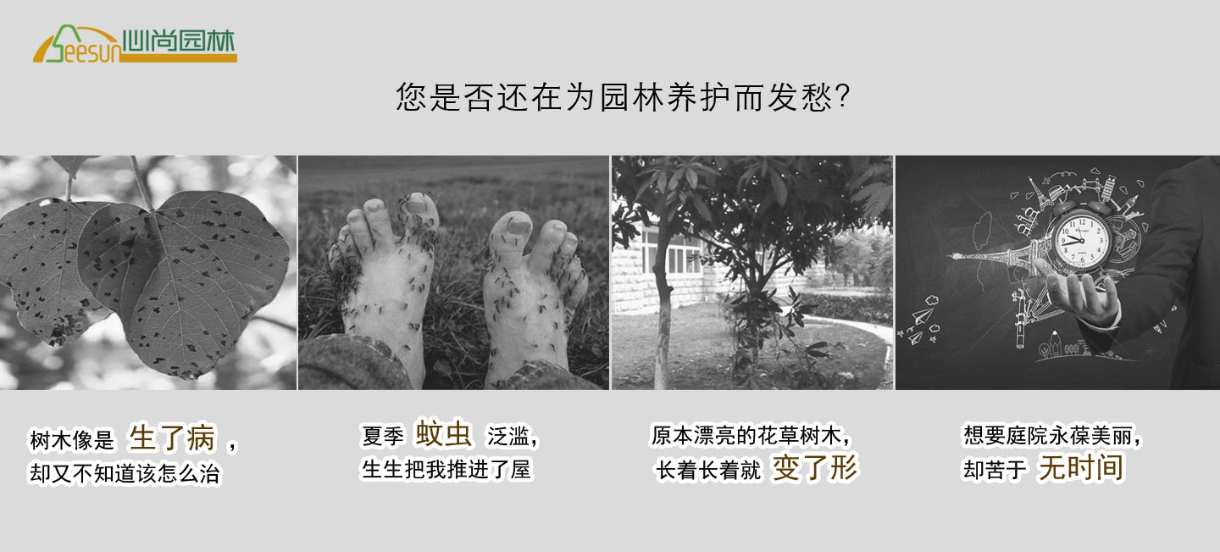 英国·威廉希尔(WilliamHill)中文官方网站